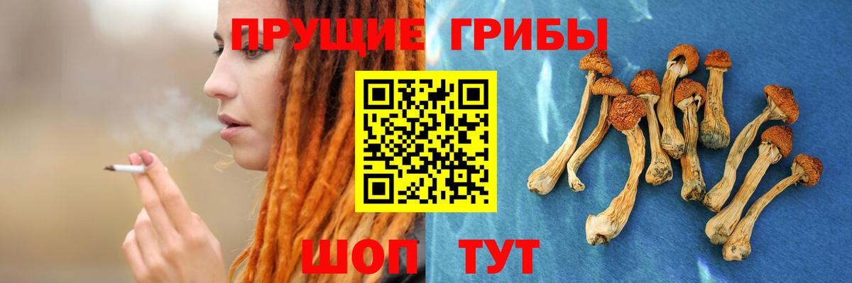 Псилоцибиновые грибы MAGIC MUSHROOMS  купить наркотик  Конаково  Вход с VPN 
